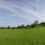 grassland-panorama
