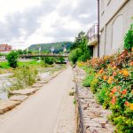 neckar-river-germany