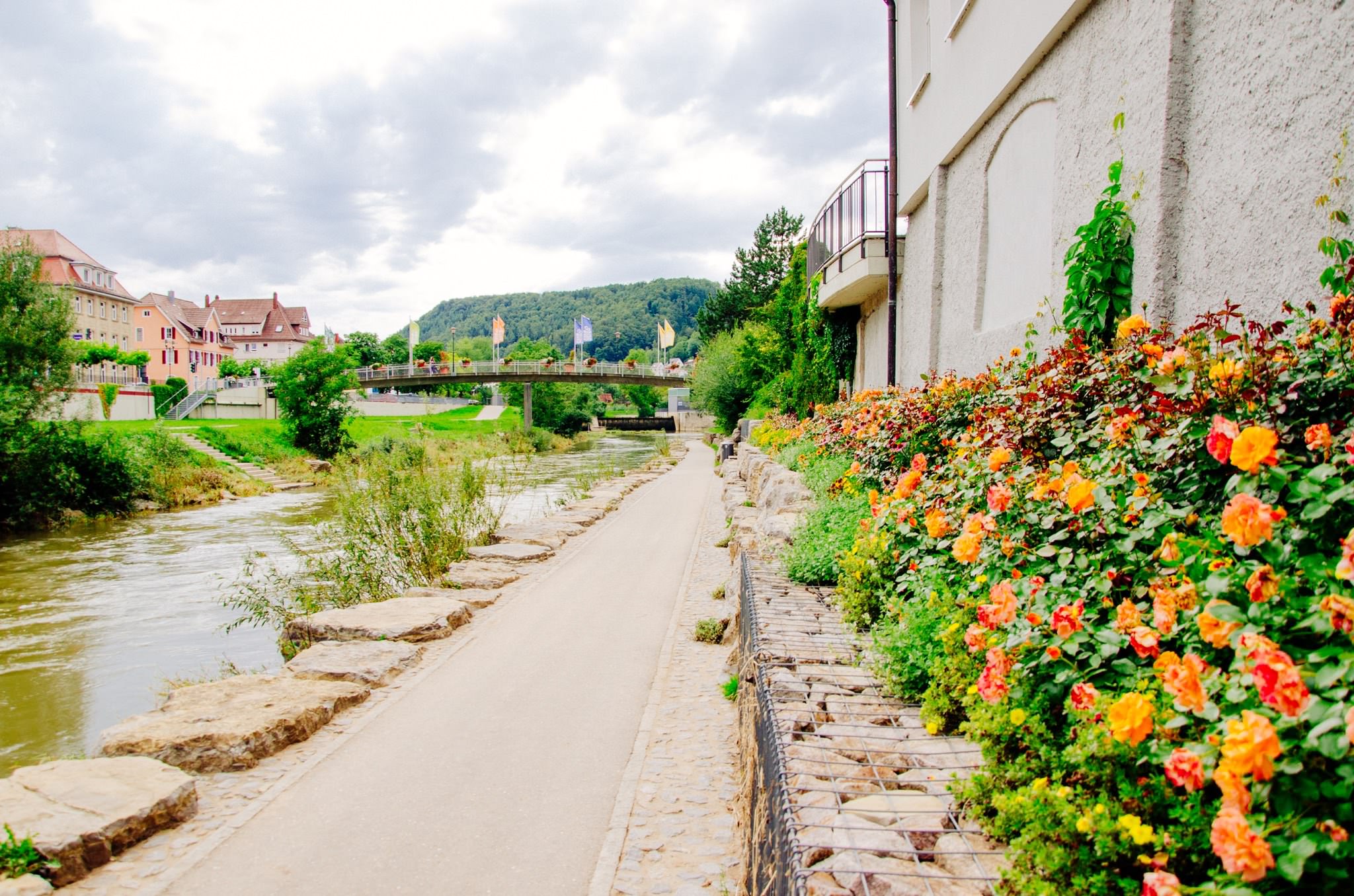 neckar-river-germany