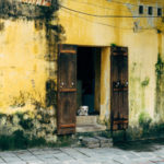 dog-door-sleep-vietnam