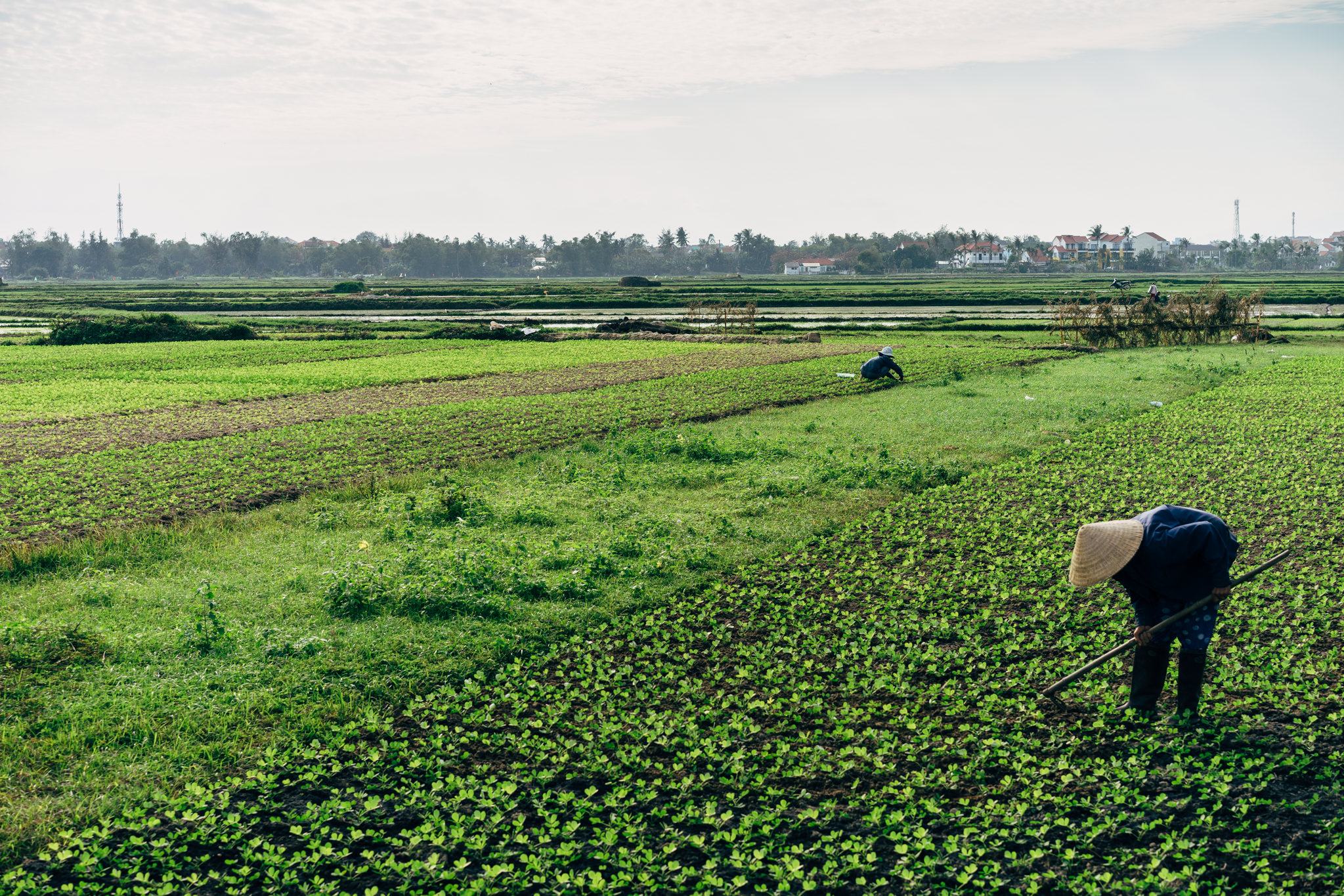 farmer-vietnam-hoi-an