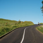 Auckland Nature Road Line