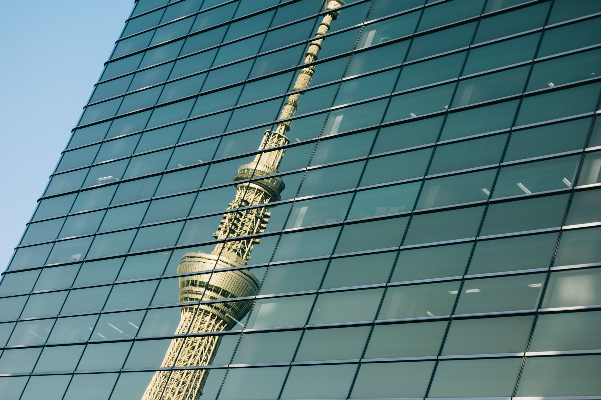 Tokyo Skytree Reflection