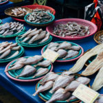 Busan Fish Market 16