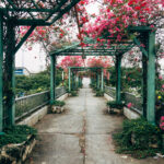 saigon-vietnam-pink-bridge-03