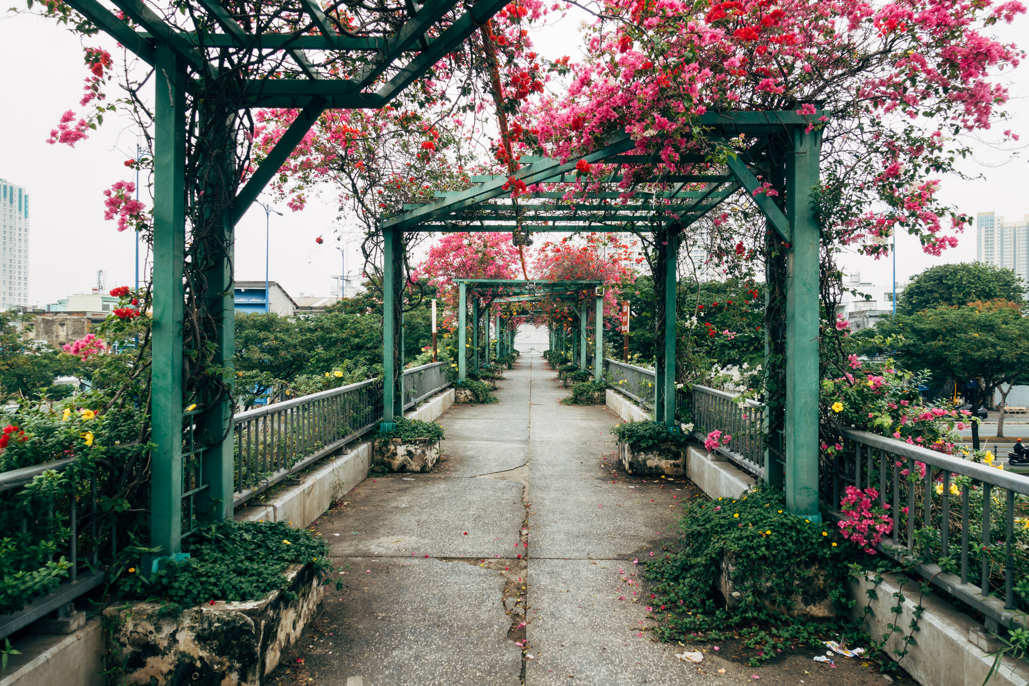 saigon-vietnam-pink-bridge-03