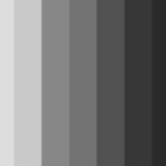 gray-tailwind-css-color-scheme