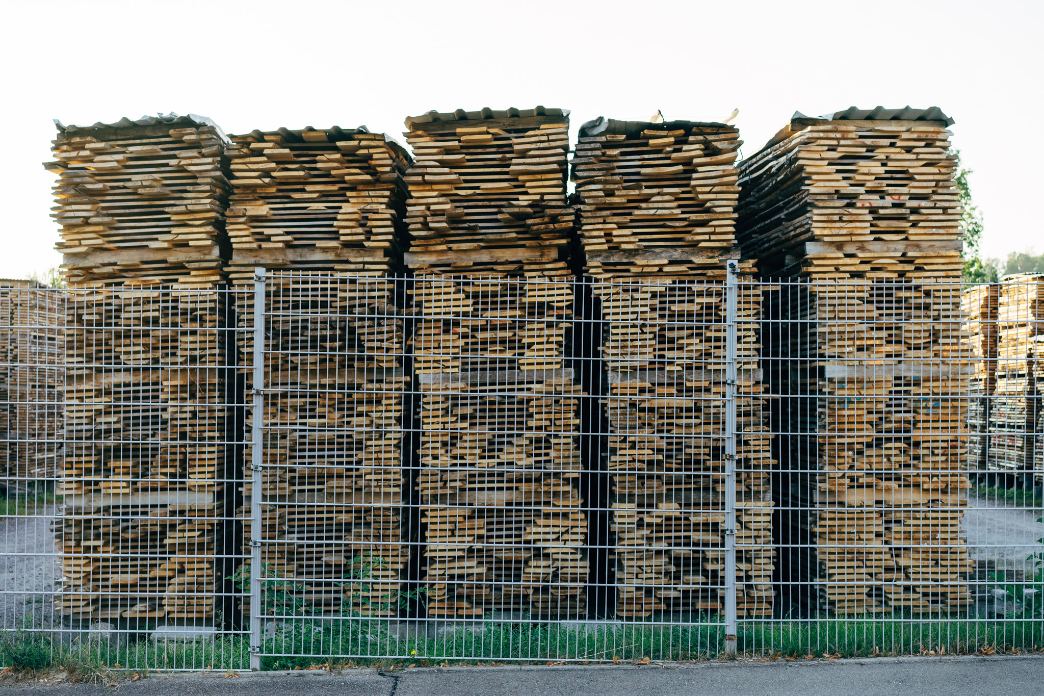 wood-production-pile-3