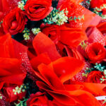 valentins-day-roses-love