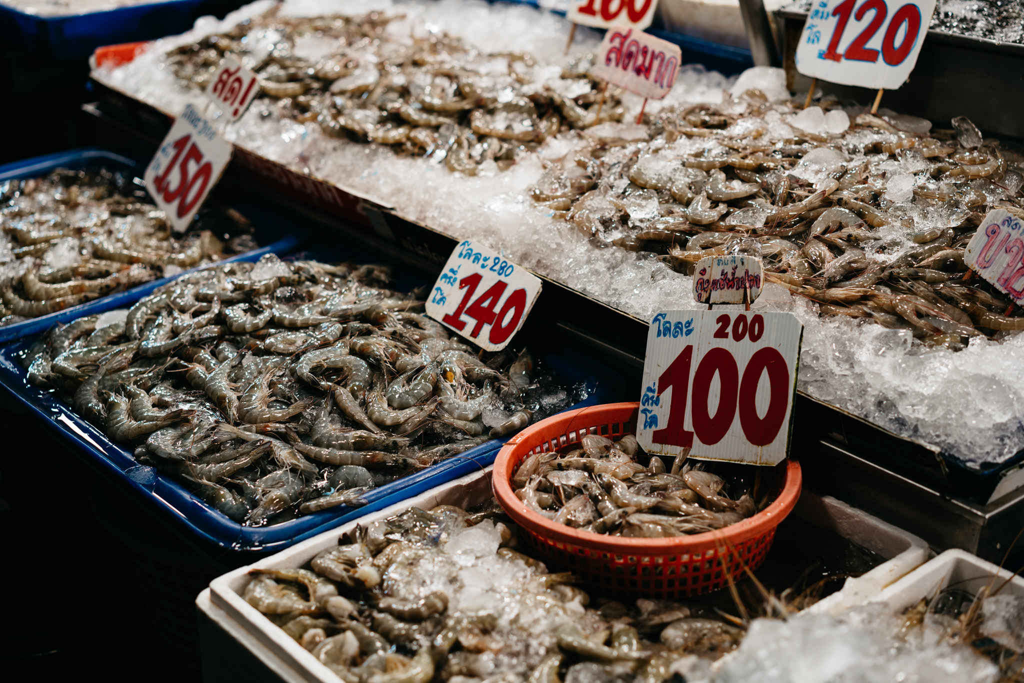 bangkok-thai-fish-market-7