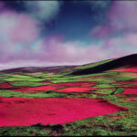 irish-landscape-on-kodak-aerochrome-1