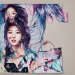 luxury-handbag-fashion-kpop-korean-modern-2