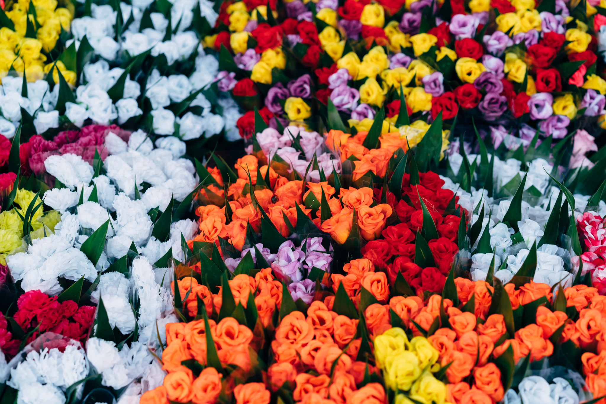 thailand-flower-market-24