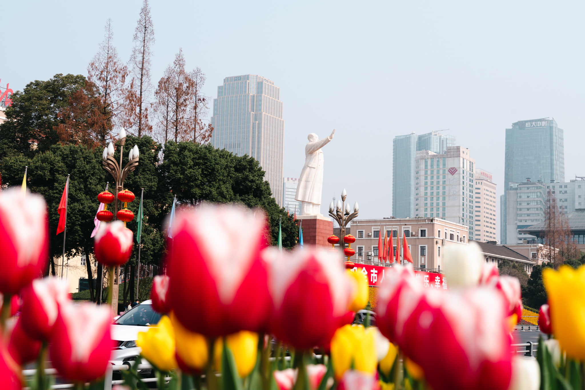 chengdu-spring-flower